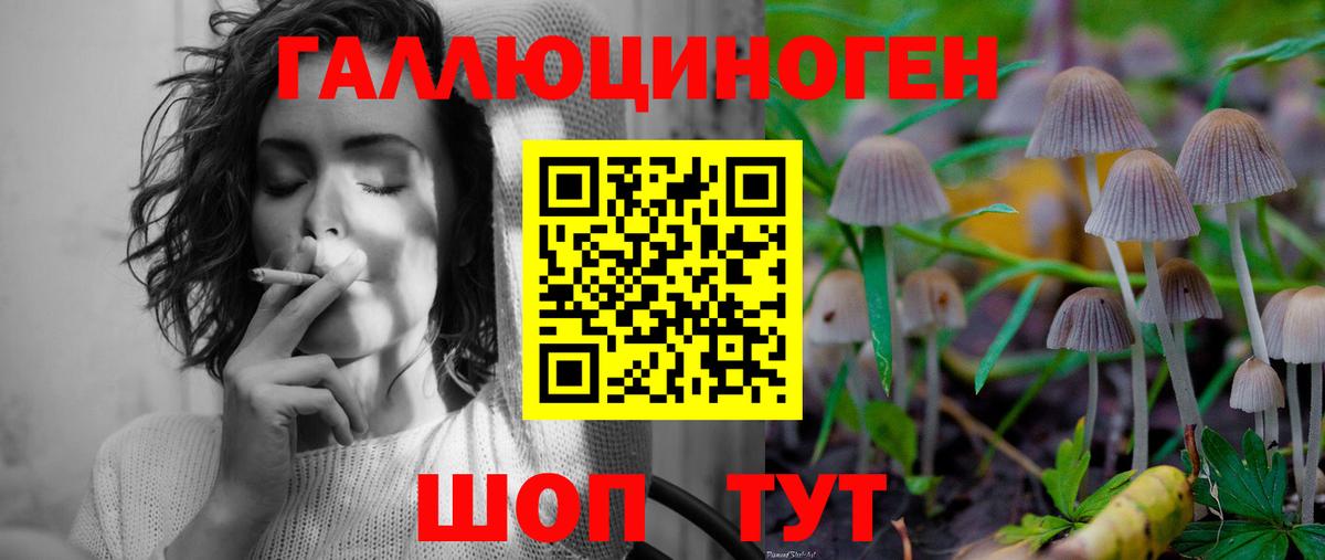 Шарыпово  Псилоцибиновые грибы мухоморы  Галлюциногенные грибы Psilocybe  Вход с VPN 